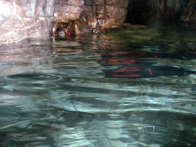 2012-09-17 12-02-01 Steven.jpg